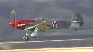 WW2 Fighters Heavy Metal Thunder at Warbirds Over Wanaka [upl. by Zed656]