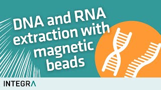 DNA and RNA extraction with magnetic beads – How it works [upl. by Seppala]