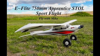 EFlite 750mm Apprentice STOL Sport Flight Fly with Mike [upl. by Aleira]