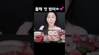 기름진 고소한 방어회😋 Raw Fish Yellowtail Sashimi ブリの刺身 mukbang asmr [upl. by Enohs51]