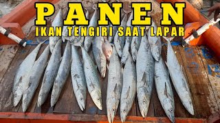 Ngeri   ‼️ 🔴 Mancing ikan Tengiri saat ikan lapar  Auto panen  spot Lumpuran  Batang [upl. by Aihsiym]