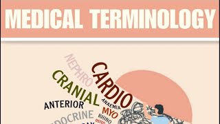 Lecture 5  Gastroenterology  Musculoskeletal System [upl. by Matthiew]