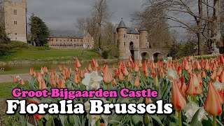 Floralia Brussels 2021  Spring flower  GrootBijgaarden Castle  Tulip garden in Belgium  4K [upl. by Nnylyt]