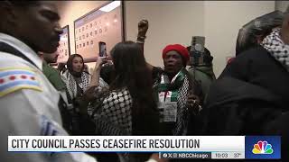 Mayor Johnson casts tiebreaking vote to approve resolution calling for ceasefire [upl. by Harrison]