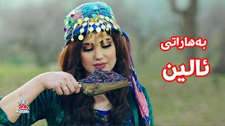 Alen Spices  بەهاراتی ئالین  By Sampro [upl. by Deryl]