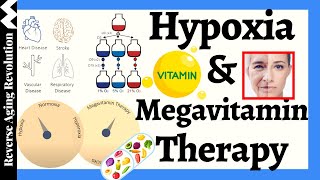 Promising Hypoxia amp Megavitamin Therapies For Mitochondrial Health amp More [upl. by Eillil]