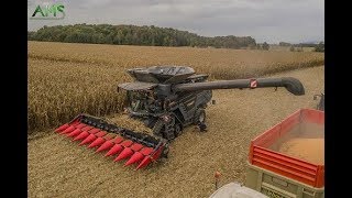 X2 IDEAL FENDT 7PL amp 8T à la moisson de maïs en FRANCE [upl. by Ielerol]