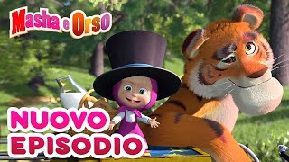 Masha e Orso  💥 Nuovo episodio 💥 Collezione di cartoni animati 🎬 Un Amico a Strisce 🐯 [upl. by Ettennad]