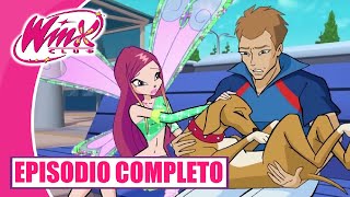 Winx Club  CASTELLANO  Temporada 4 Episodio 13  El ataque de los magos  EPISODIO COMPLETO [upl. by Ethan413]