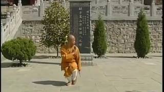 少林罗汉十八手 Shaolin Luohans 18 hands [upl. by Frohne]