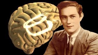 Looking Deeper Into the Brain of quotHMquot Our Most Famous Amnesiac [upl. by Fran]