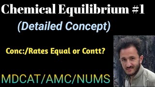 Chemical Equilibrium Introduction class 1011 [upl. by Nelyahs]