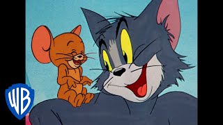 Tom amp Jerry em Português 🇧🇷  Brasil  Os Reis da Travessura  WB Kids [upl. by Ramel]