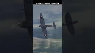 WW2 Supermarine Spitfire at Warbirds Over Wanaka [upl. by Augustin]