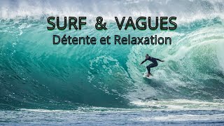 surf et vagues Détente et Relaxation bruit de la mer et des mouettes le surf musique zen mer [upl. by Olocin]