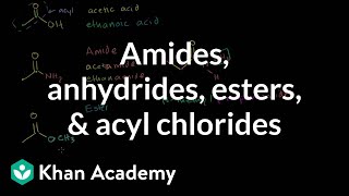 Amides anhydrides esters and acyl chlorides  Organic chemistry  Khan Academy [upl. by Brunelle]