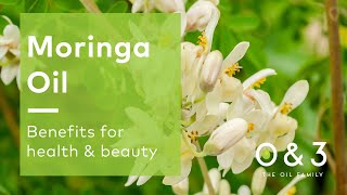 Moringa Seed Oil  benefits for skin hair and personal care formulations [upl. by Barbee]