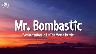 Mister Bombastic TikTok Remix Meme Song [upl. by Nolaf601]