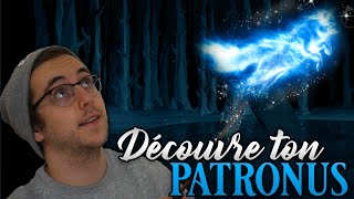 DÉCOUVRE TON PATRONUS  HARRY POTTER TEST [upl. by Yablon]