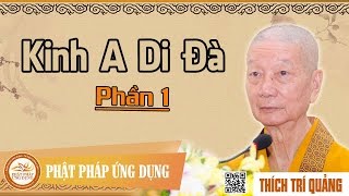 Kinh A Di Đà phần 1  Hòa Thượng Thích Trí Quảng [upl. by Hsitirb857]