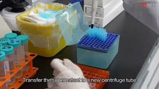 Laboratory Case Sharing DNA Extraction Using CTAB Method [upl. by Beebe]