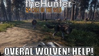 🎥OVERAL WOLVENquot The Hunter Call of The Wild [upl. by Atinal]