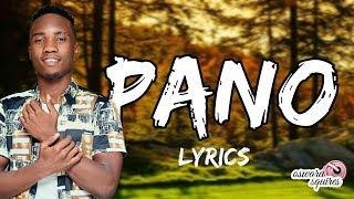 Driemo  pano  lyrics [upl. by Merill]