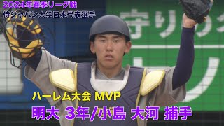 【侍ジャパン大学日本代表】明治大学３年／捕手 小島 大河（ハーレム大会ＭＶＰ） [upl. by Aekal]