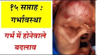 15 weeks of pregnancy and baby development in Hindi [upl. by Gaivn211]