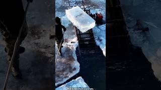 Ice farming in norway [upl. by Kirtap]