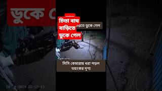 চিতা বাঘ বাড়িতে ডুকে গেল সিসি কেমারায় ধরা পড়ল [upl. by Pollock423]