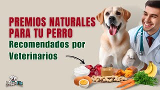 10 Premios naturales para perros  Recomendados por Veterinarios [upl. by Nohtahoj]