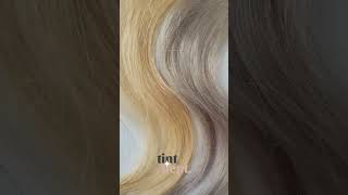 Wella T18 Lightest Ash Blonde Toner Before and After  how to remove yellow brassy tones at home [upl. by Yras565]