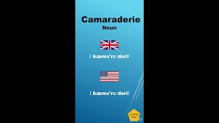 Camaraderie meaning pronunciation and synonyms Shorts [upl. by Trauner]