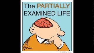 Partially Examined Life podcast  Semiotics and Structuralism  Saussure LeviStrauss Derrida [upl. by Steffy]