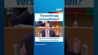 ThyssenKrupp verstaatlichen afd ltnrw [upl. by Nostets201]