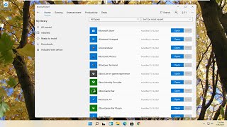 How to Play a DVD on Your Windows 11 Computer [upl. by Turner492]