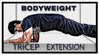 BODYWEIGHT TRICEP EXTENSION  Calisthenics Tutorial [upl. by Yatnahc]