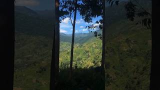 Rwenzori The Mythical Moon Mountains on the Border of Uganda amp Democratic Republic of Congo [upl. by Mitchel]