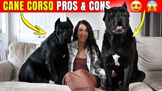 Cane Corso Pros amp Cons dog canecorso doglover [upl. by Sinnard]