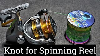 ARBOR KNOT Spinning Reel  Best Fishing knots [upl. by Seyah740]