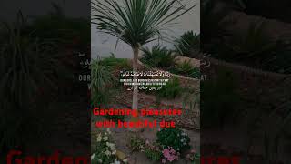 gar gardening beautifulplants decore home  Bloom villeo4 [upl. by Brad180]