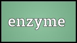 Enzyme Meaning [upl. by Stalder]