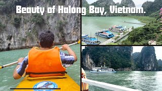 Exploring the Beauty of Halong Bay Vietnam  Hanoi to Halong Bay Day Trip  AVIs Travel Times [upl. by Pish]