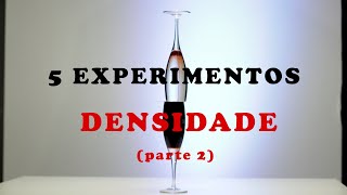 5 experimentos com densidade experimentos de física [upl. by Yrret398]