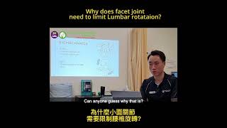 Lumbar Facet joints limit excessive rotation Why [upl. by Ellwood]