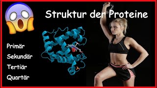 Proteine  Aufbau und Struktur einfach erklärt Primär Sekundär Tertiär Quartärstruktur [upl. by Phillipe]