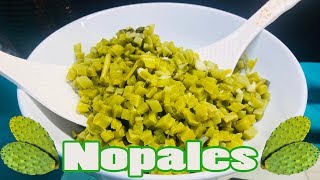 Nopales [upl. by Talich]