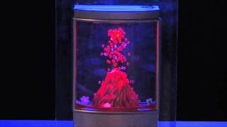 Natures Fire Undersea Volcano Kinetic Sculpture [upl. by Acnairb]