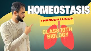 Homeostasis in Humans  Homeostasis Through Lungs  Class 10th Biology  Basharat Ali Lectures [upl. by Dessma432]